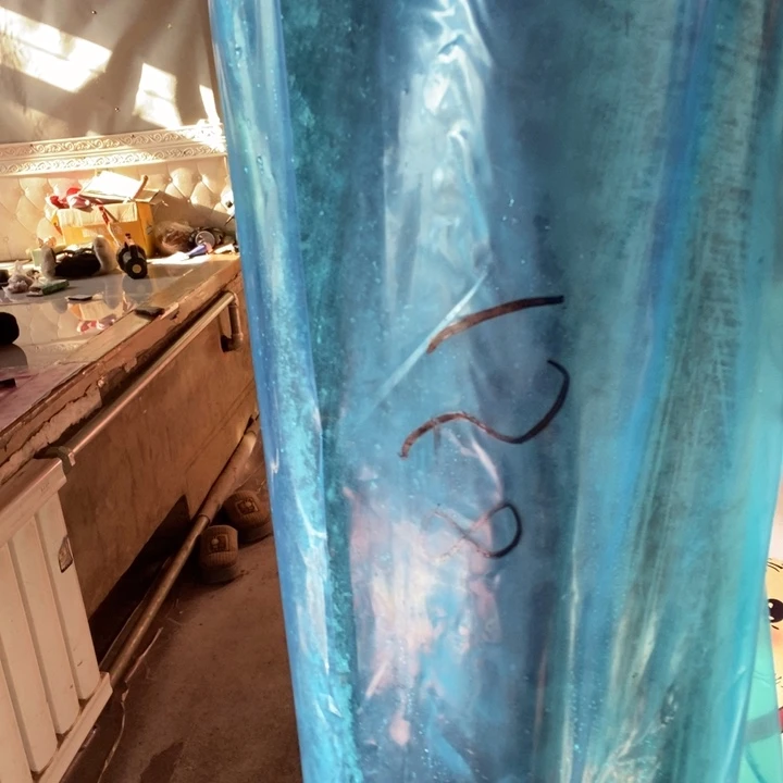 @***意中国大陆渤海湾野生燕鲅鱼34号