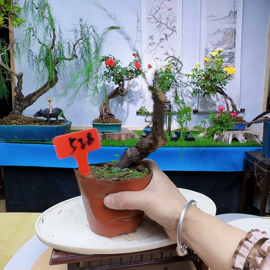 有***福h h j k l l