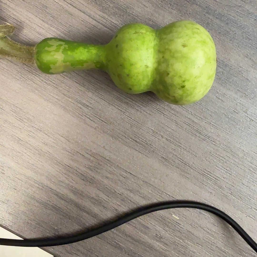 喝***猫木这个时候应该可以