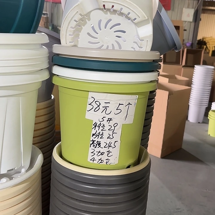 微瑕5#口径29无托果绿5个