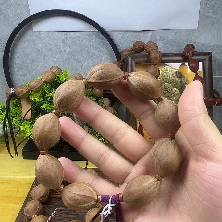 龍***菩提籽类2029梅林铁核