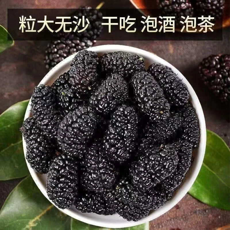 特产滋补桑葚 买一发四