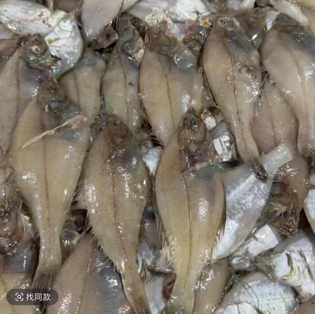 本地野生偏口鱼4斤（每斤10条左右）鲜鱼速冻顺丰包邮