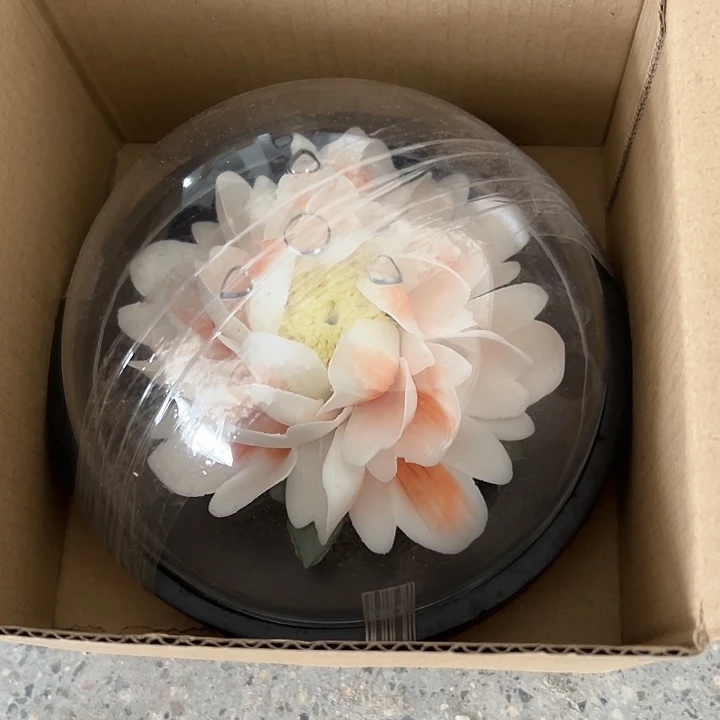 瓷片小米直播间福利款