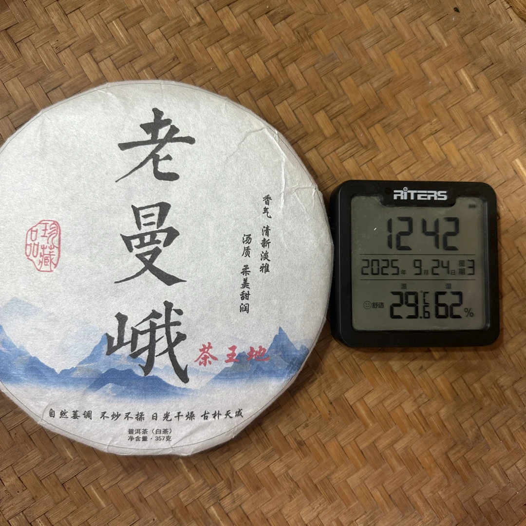 2020年老曼峨茶王地古树普洱白茶饼357克JZ3号9月24日