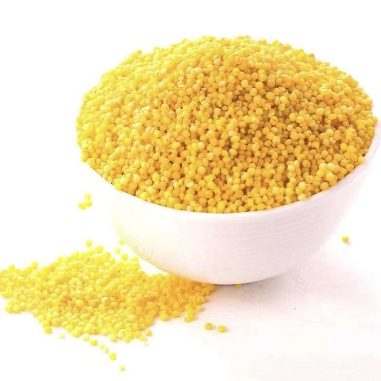 敖汉小米黄小米月子米金苗K1  2.5kg/袋