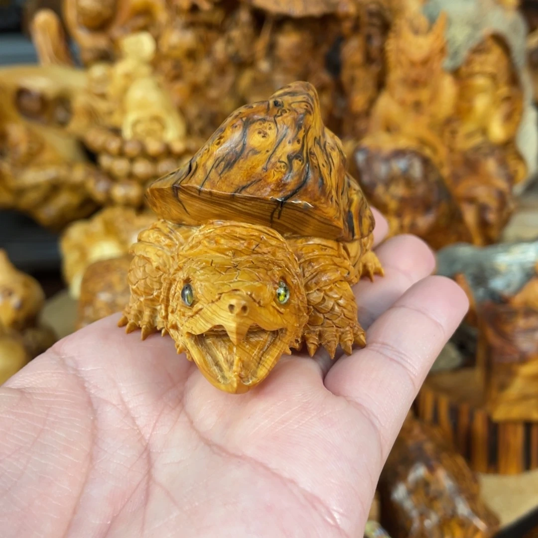 柏木（崖柏）太行崖柏