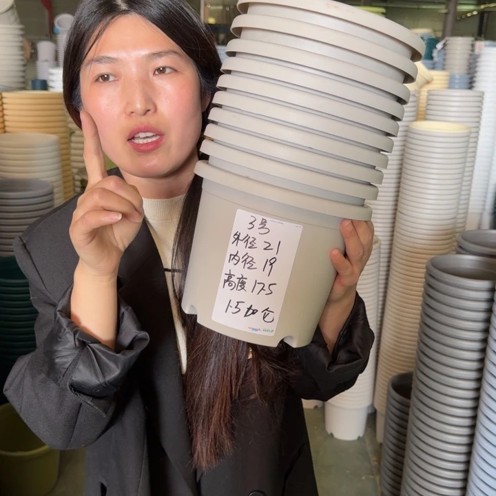 四季3号10个无托灰白