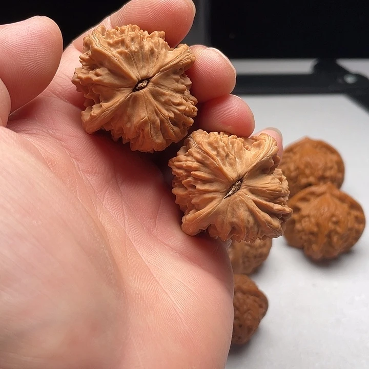 吊坠文玩核桃粗筋马蹄