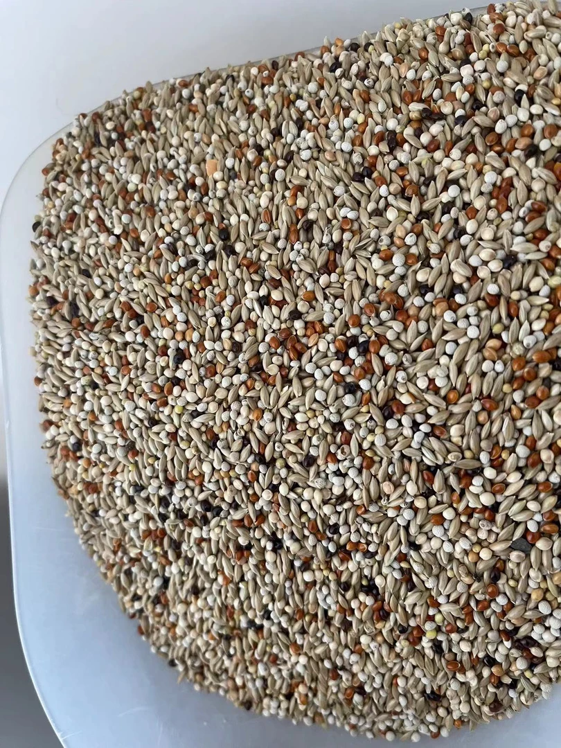 饲料四季通用精品玉鸟粮适用大红袍猫头鹰白玉鸟