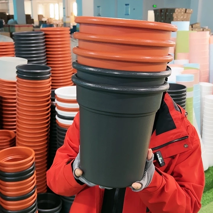 特价翻边口23高25陶红无托5只