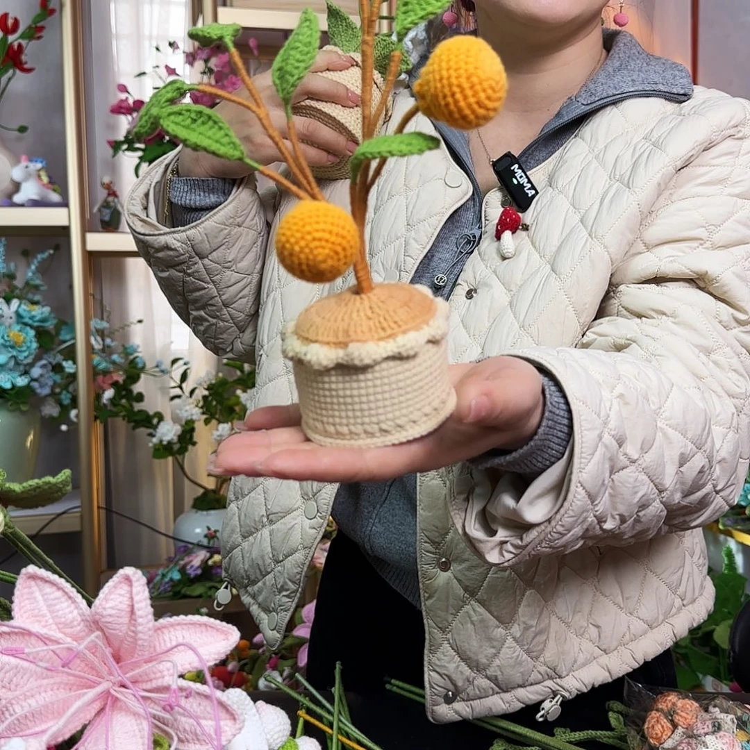 手工钩织设计盆栽