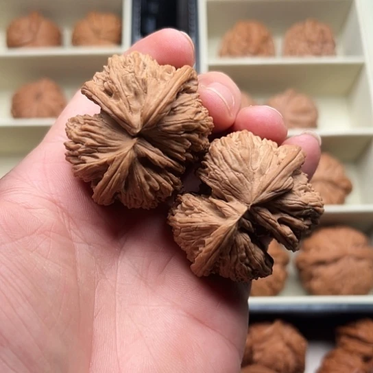 吊坠桃核全品白狮子球连正四