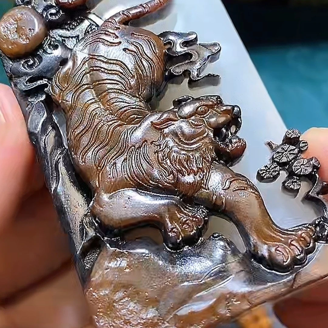 老虎多样性拍一发一10月22日 A7