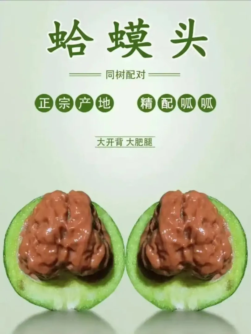 核桃青皮  不退不换 编号门 z9786989