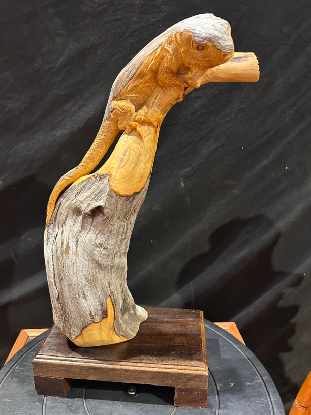 崖柏（蜥蜴）长23cm宽13cm高45cm