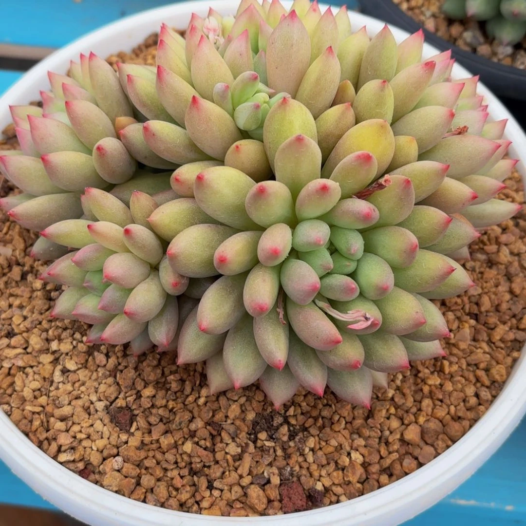 多***多Hvjnnnbknvjbknbnnnn