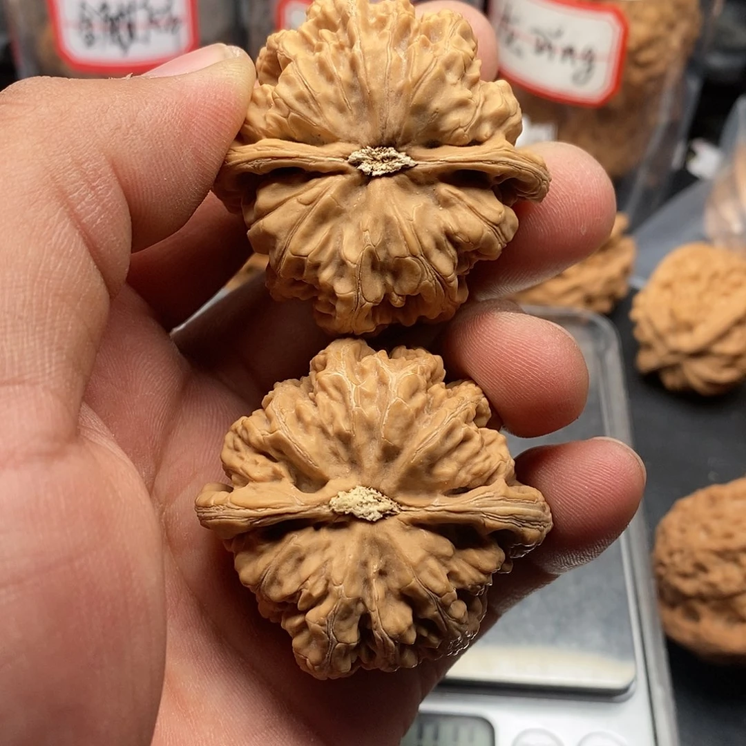 文玩核桃把件?****阳粗筋45.5