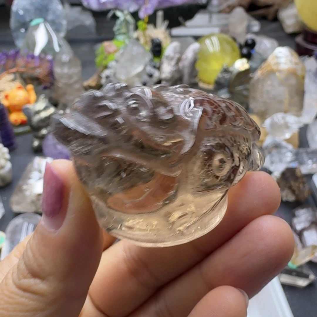 金蟾茶晶的故事是