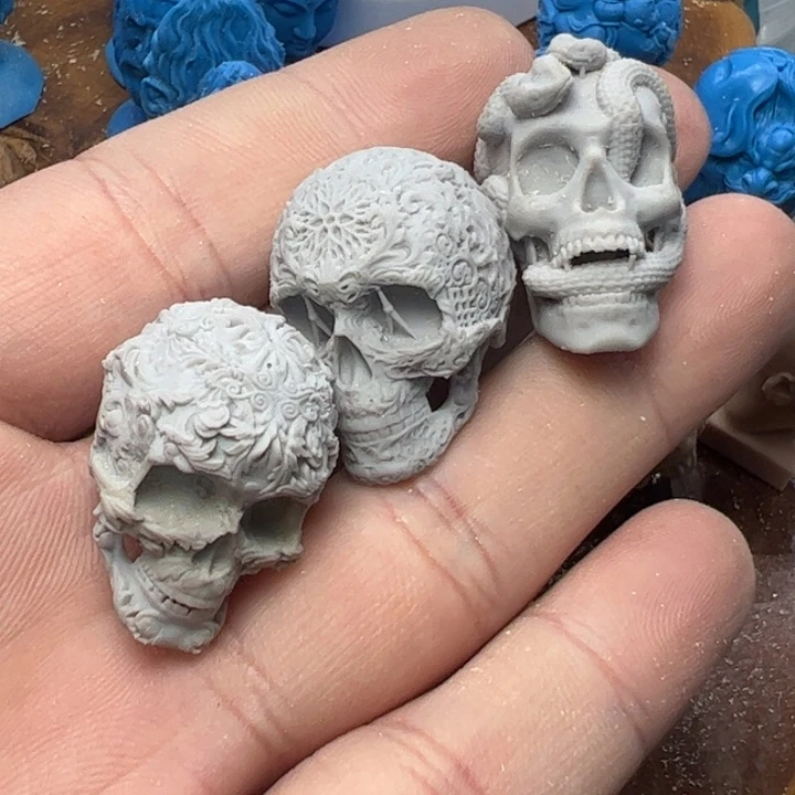 核桃其他从**终骷髅参考模型3个