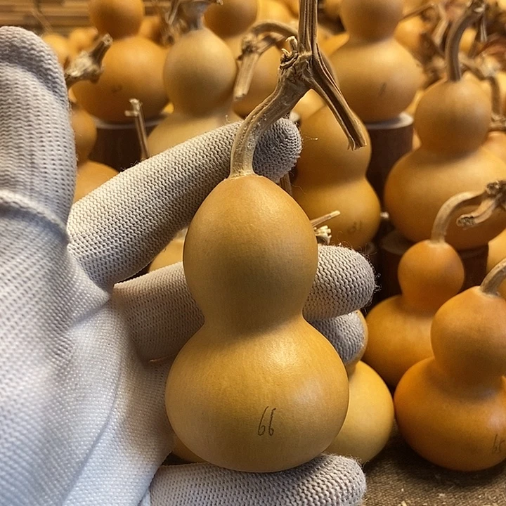 文玩葫芦 完美主义者 慎拍66