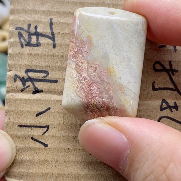 硅化珊瑚（珊瑚玉）颈饰未镶嵌秀*