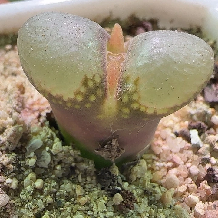 009哈哈哈哈哈哈哈哈