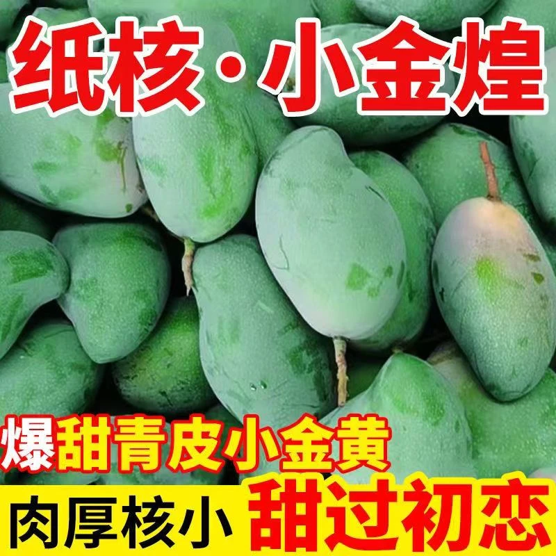 【精选】百色小金煌芒5斤装核薄如纸现摘现发高山种植大果肉厚爆汁
