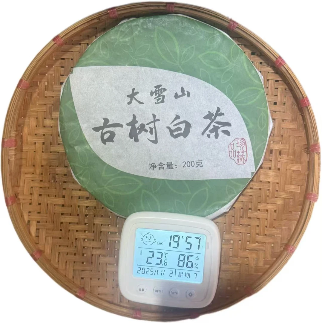 【1】2025年 大雪山（春）大树古树 混采 白茶 200克饼 11-3
