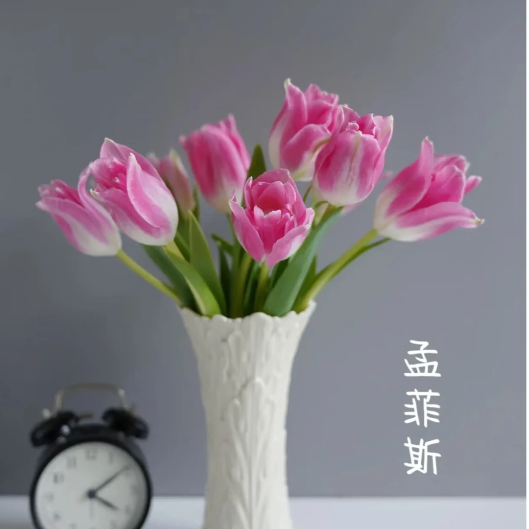 【梦飞丝】郁金香东北基地发货顺丰包邮