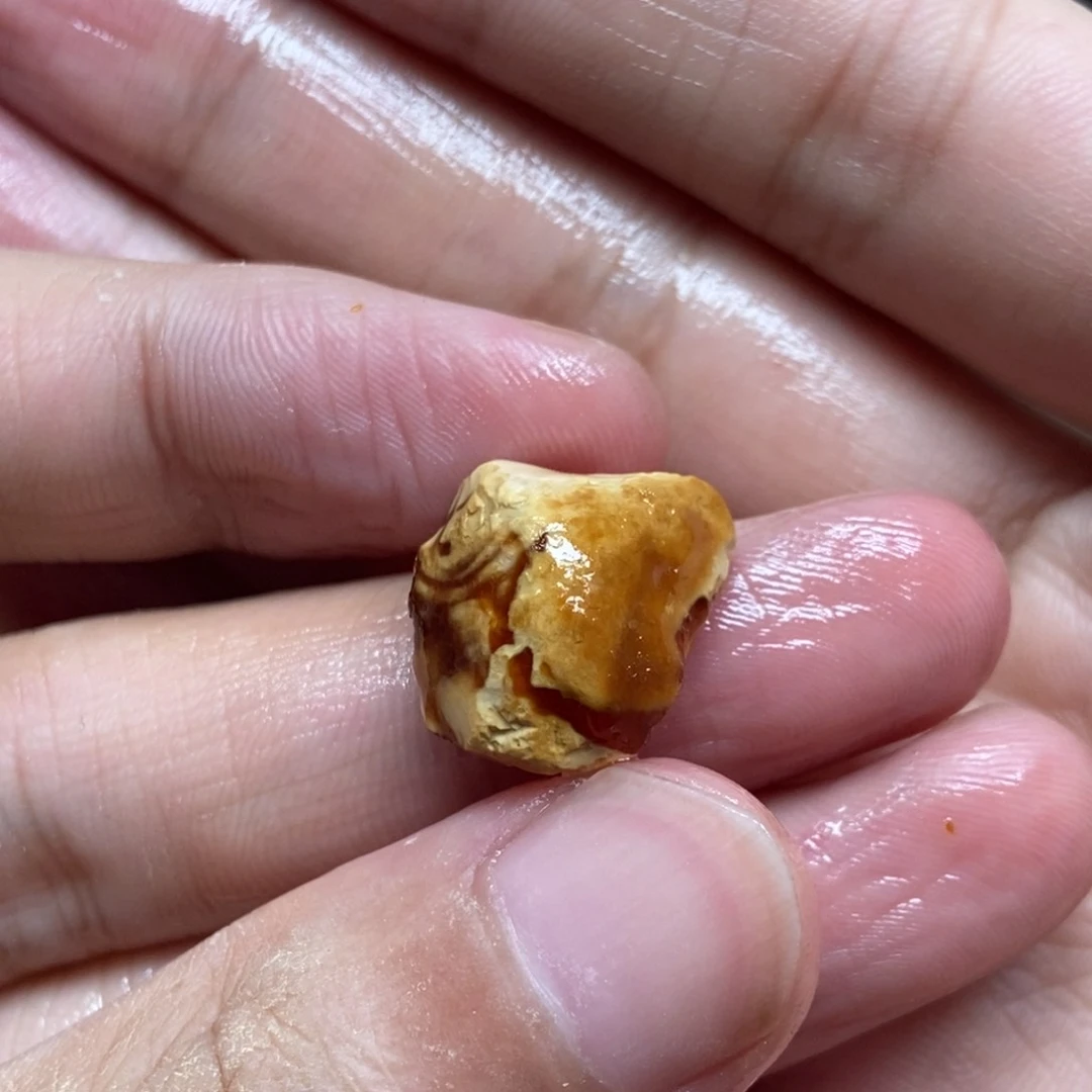 定制琥珀未镶嵌M**s定制