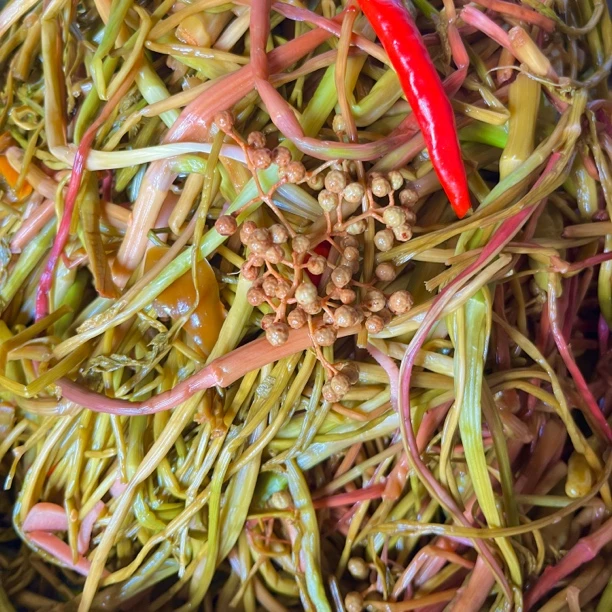 酸辣水芹菜纯野生竹山风味儿
