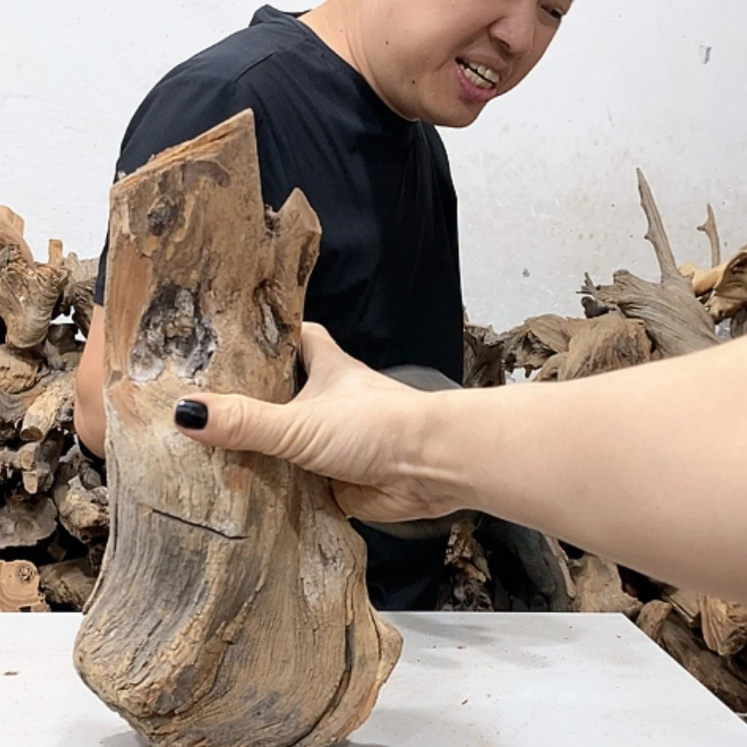 【闪购商品】柏木故**香我们都是好孩子