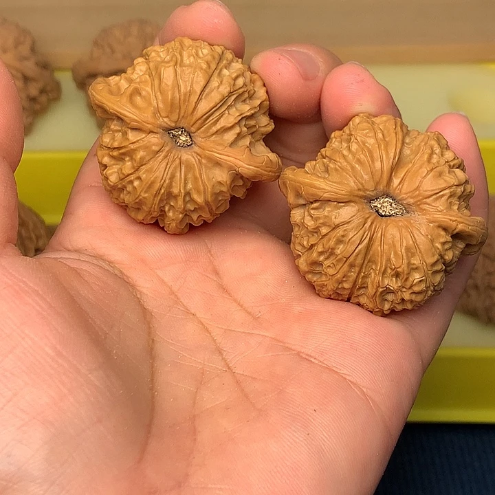 把件文玩核桃麒麟