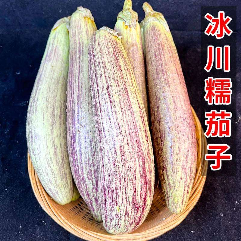 云南冰川茄子新鲜名菜正宗农家蔬菜冰川糯茄花茄蔬菜当季新鲜蔬菜