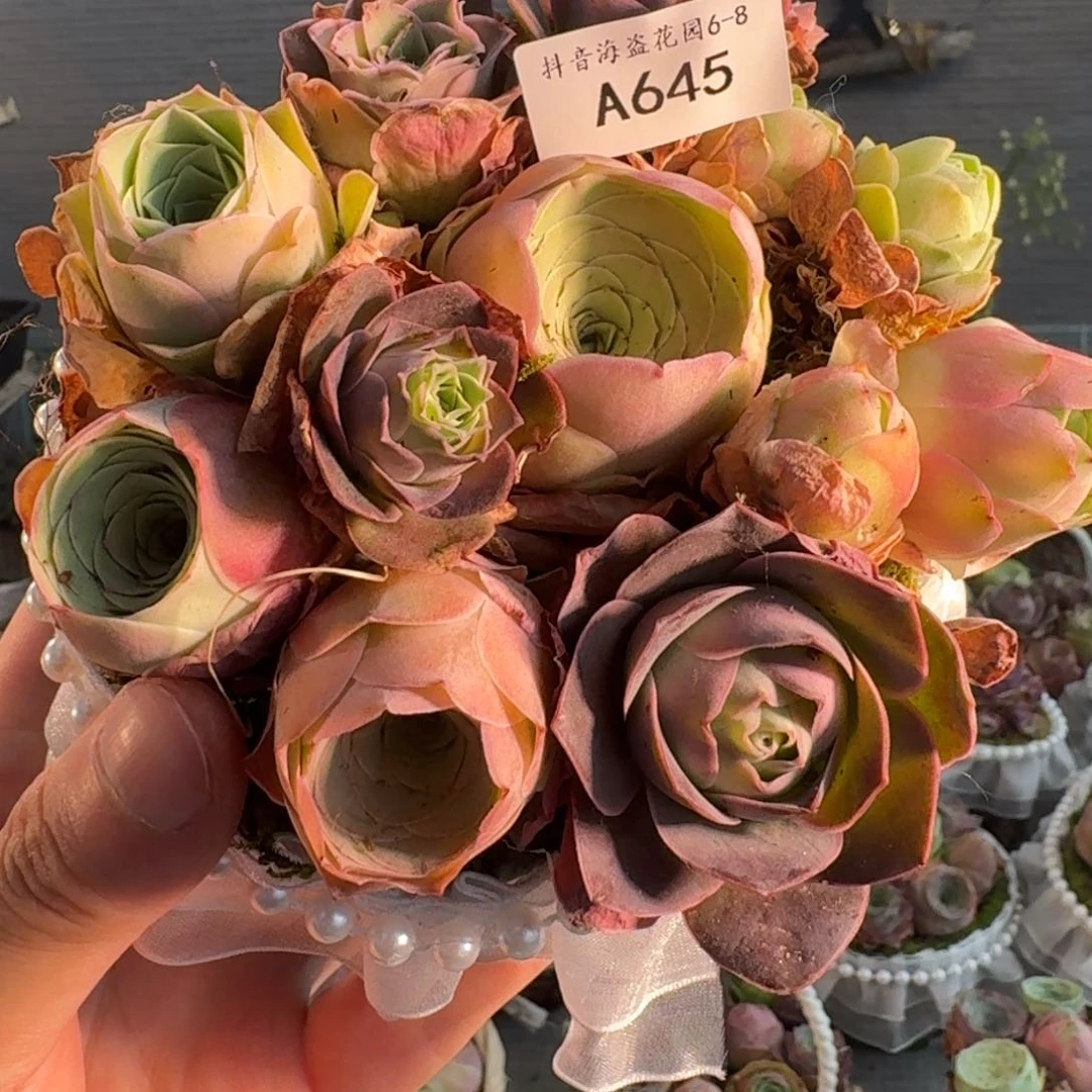 A645 苔藓花篮玫瑰组合
