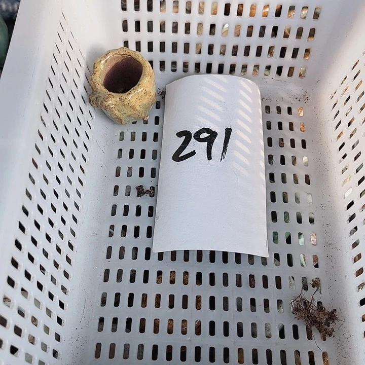 樱****?291密密麻麻买买买