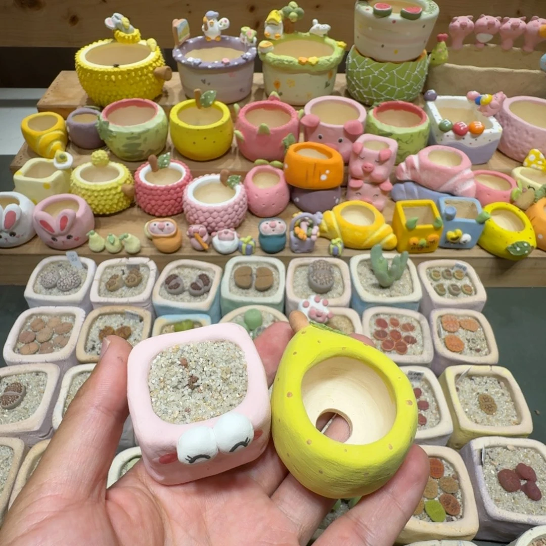 痣***b蘑菇241花盆花盆花盆