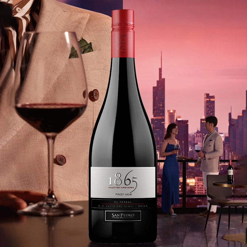 【原瓶进口】智利十八罗汉 圣醅罗1865黑皮诺红葡萄酒