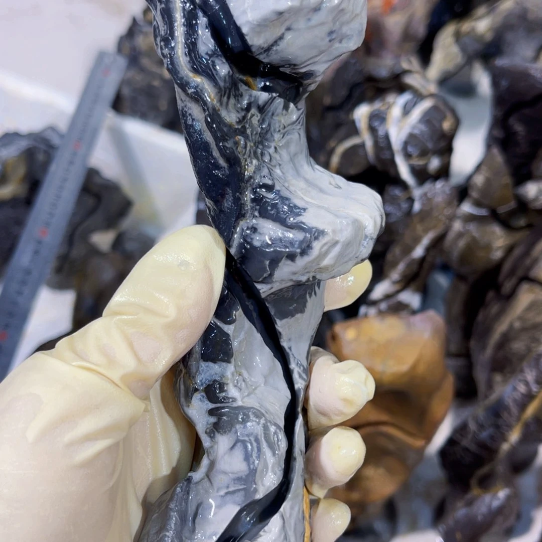 隔**张附石盆景一物一拍