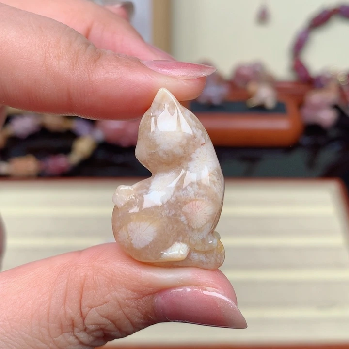 硅化玉珊瑚玉未镶嵌