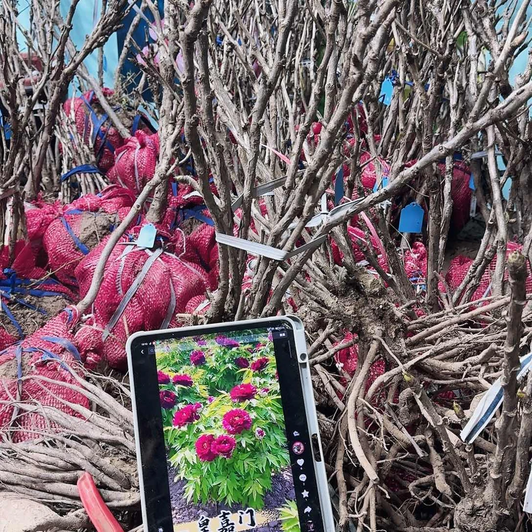 完全开放111111111111111