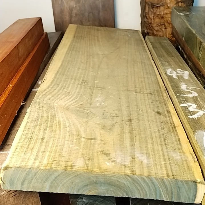 樟科（黄金檀）马*王