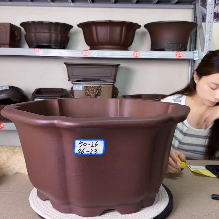 紫砂花盆紫砂花开