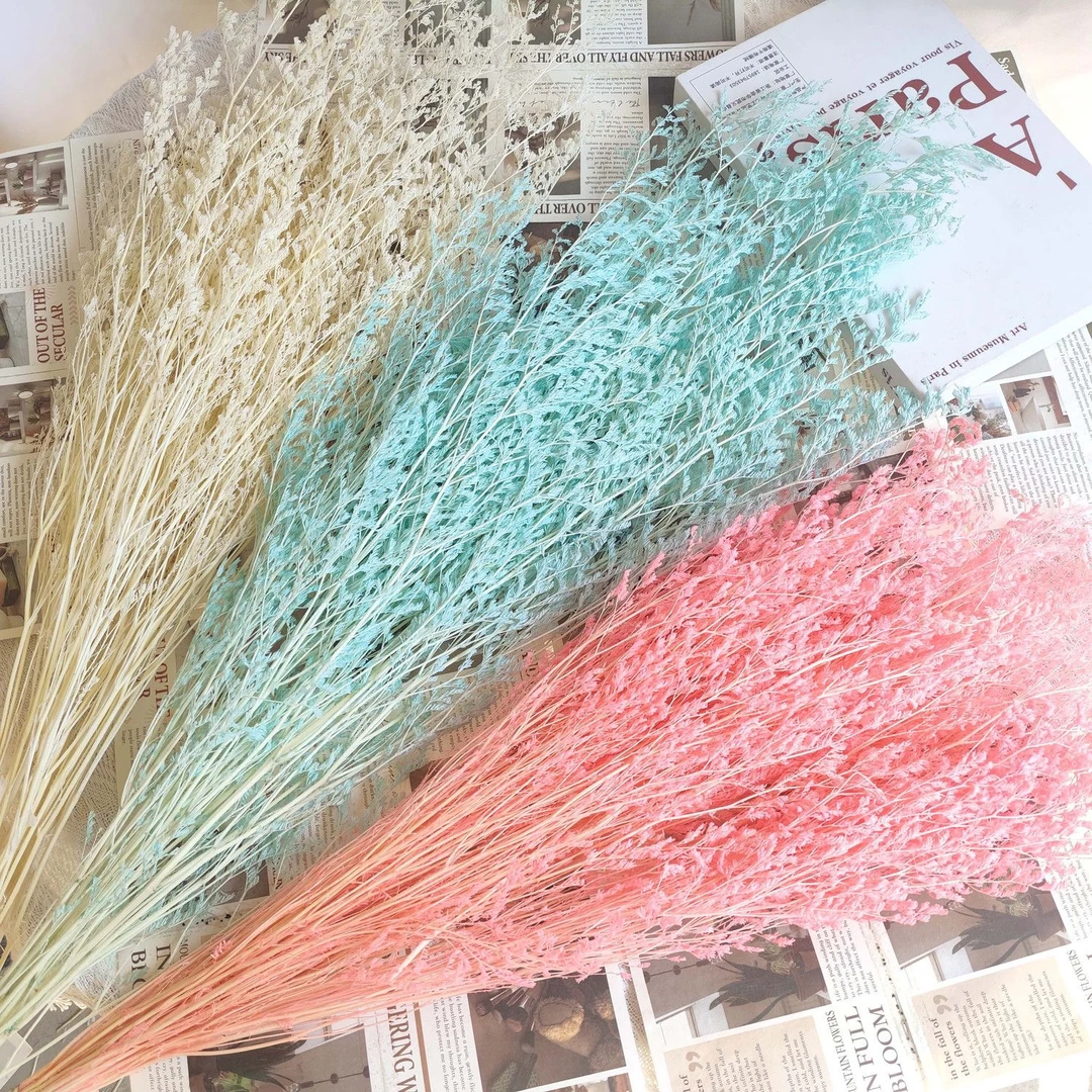 情人草干花漂色彩色花束客厅摆设装饰摆件天然风干真花diy