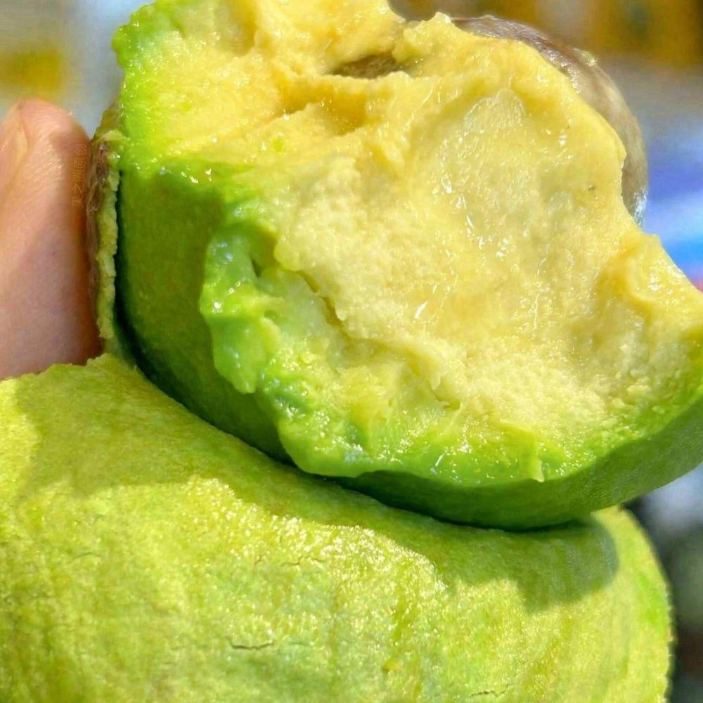 牛油果一个一份牛油果同城