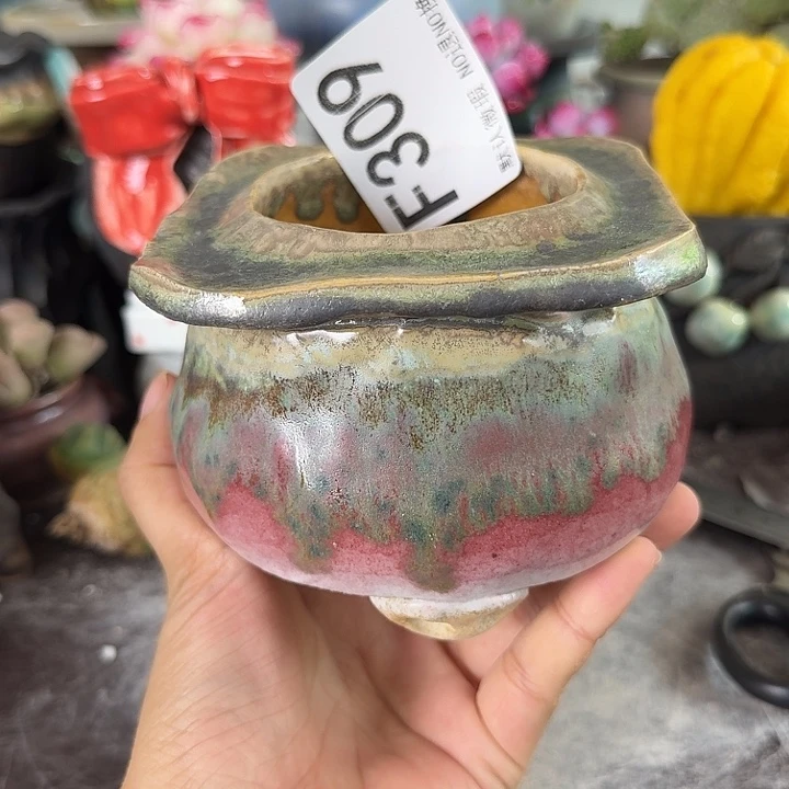 重庆小燕子欢迎大家，309