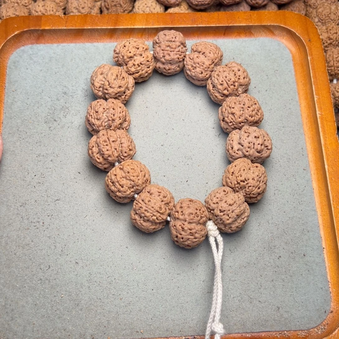 菩提31号金刚菩提梁豆腐块24.5/25