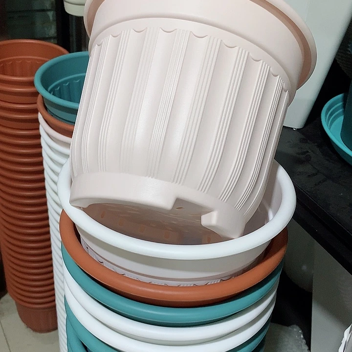 罗马口24粉4个无托