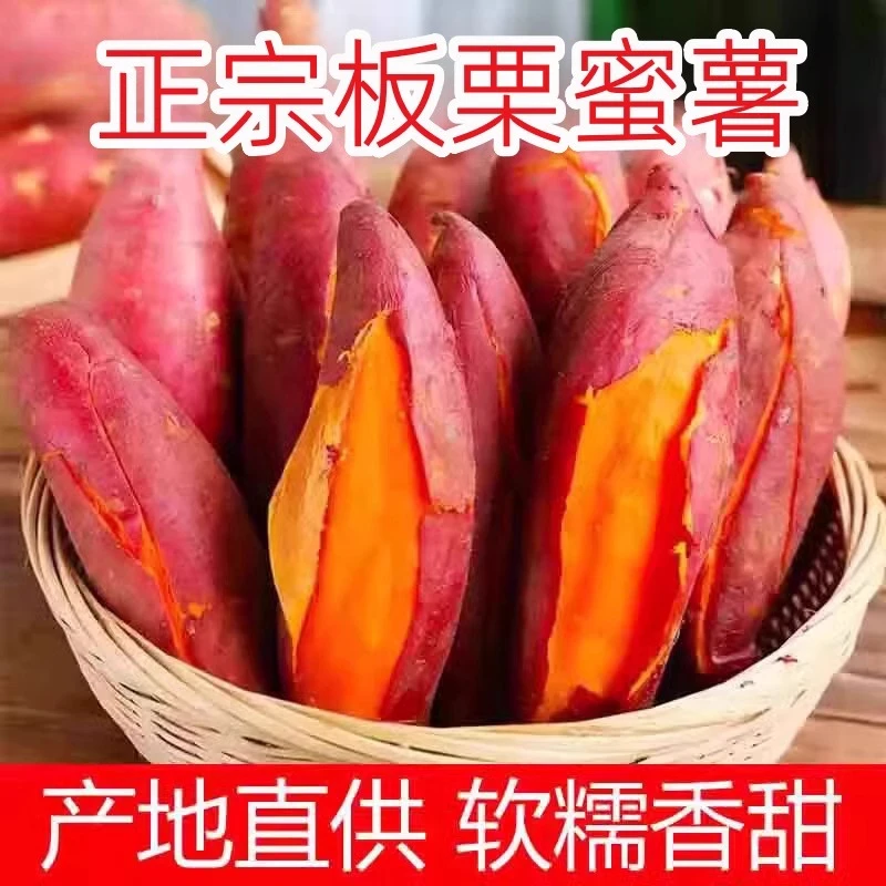正宗山东沙地板栗蜜薯新鲜农家红心烤地瓜香甜软糯高山红薯蒸烤